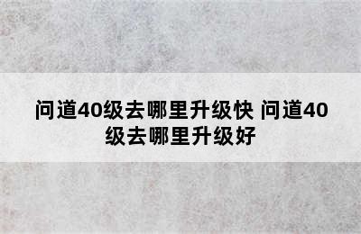 问道40级去哪里升级快 问道40级去哪里升级好